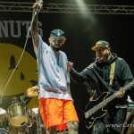 0108 Fajtfest 2022